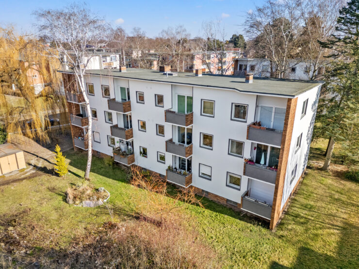drohne (4)